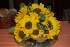 herbst14ffa00