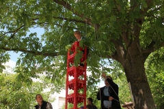 kitasommer38