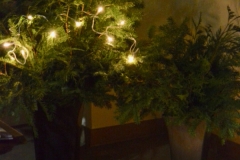 2019-12-02-Lichterglanz-11