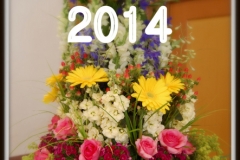 2014sommers00