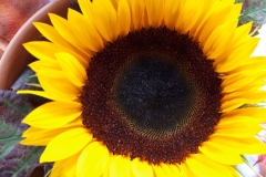 20190908_110608