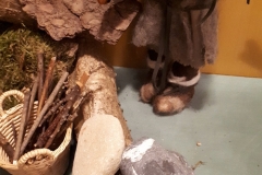 20201218_171834_resized