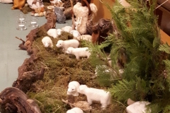 20201218_182015_resized